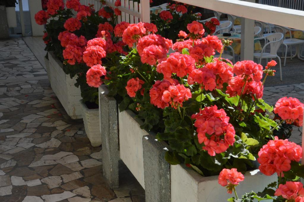 Mantovani Hotel Mariu Rimini Luaran gambar